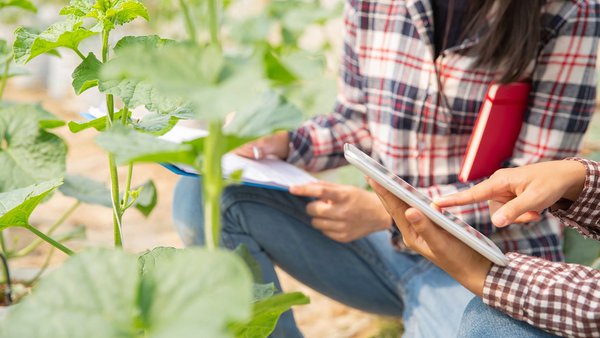 El Gobierno aprueba un real decreto para incentivar la igualdad de las mujeres en las explotaciones agrarias de titularidad compartida