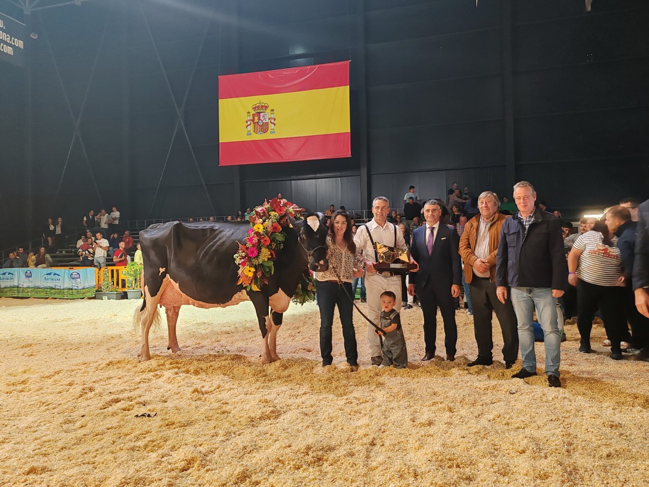 ¡Llinde Ariel Jordan, elegida por quinta vez consecutiva vaca gran campeona nacional!