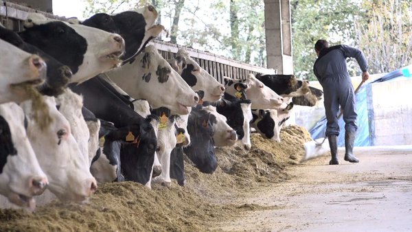A Xunta publica recomendacións e medidas preventivas para o sector agroalimentario
