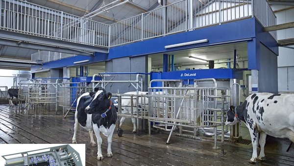 Nuevas posibilidades para las granjas de gran volumen: el ordeño robotizado por lotes de DeLaval VMS