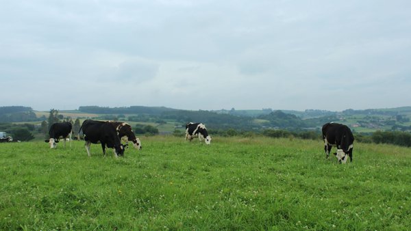 El MAPA abre la consulta pública de los reales decretos sobre la ayuda básica a la renta y la condicionalidad reforzada de la PAC