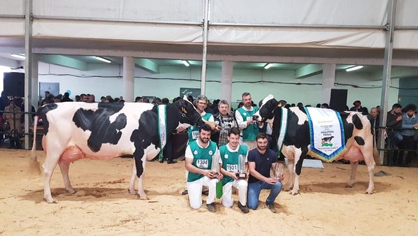 A palma da victoria foi para Encanto Atwood 420 en Trofa