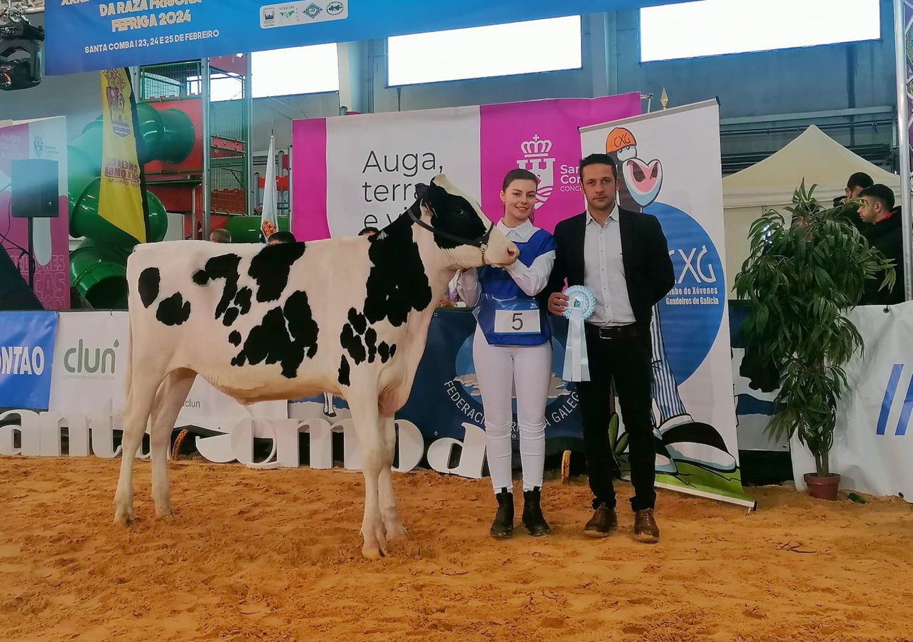 Santa Comba pone punto final a su fin de semana ganadero con el Concurso de Jóvenes Manejadores
