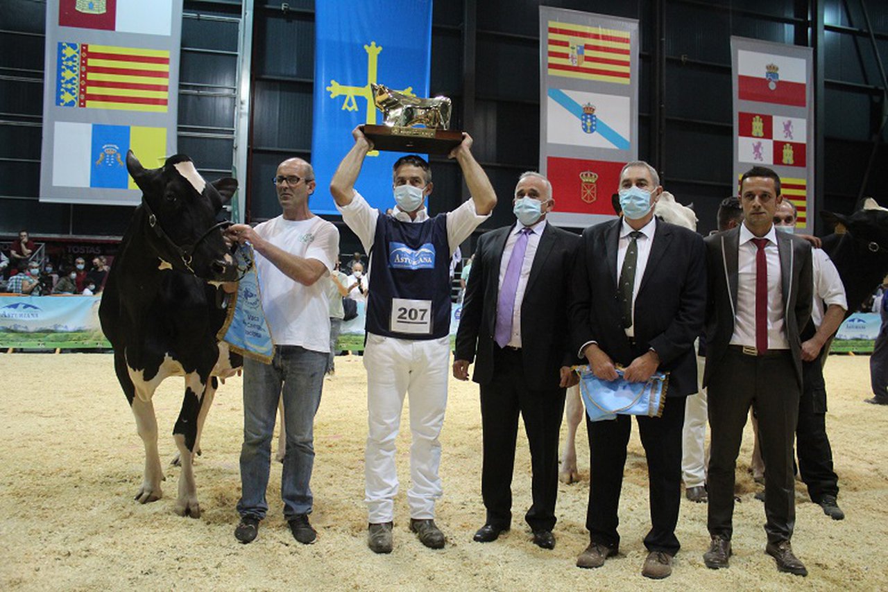 Imbatible: Llinde Ariel Jordan renueva su título de vaca gran campeona nacional