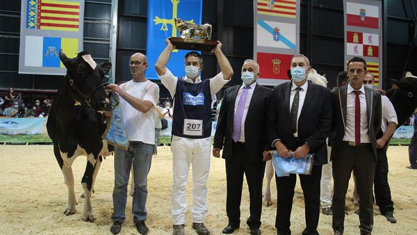 Imbatible: Llinde Ariel Jordan renueva su título de vaca gran campeona nacional