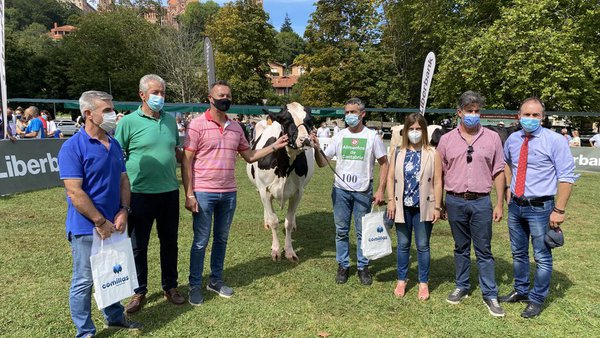 Llinde Nika Beemer, de SAT Ceceño, gana el concurso de ganado frisón de Comillas