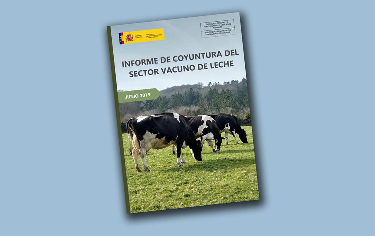 Informe de coxuntura do sector vacún de leite
