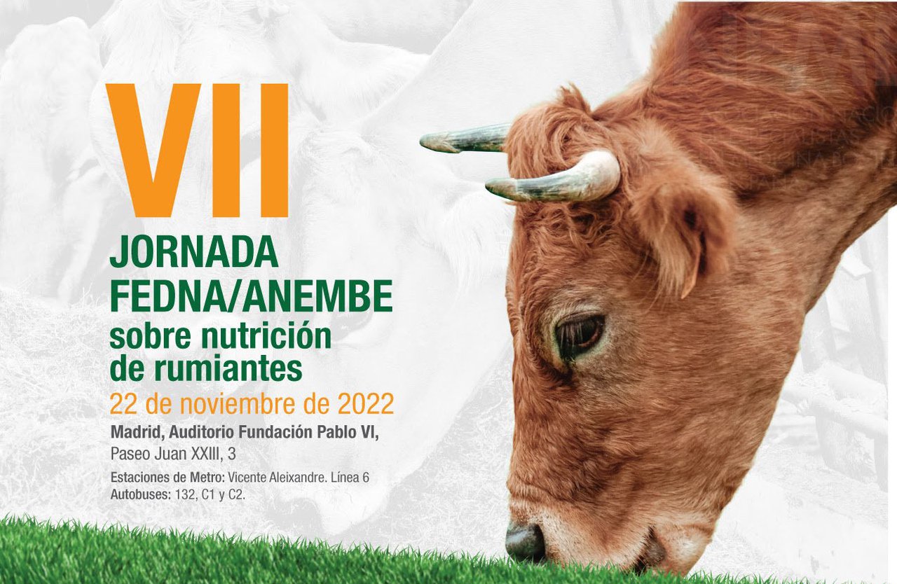 A xornada Fedna-Anembe será o 22 de novembro