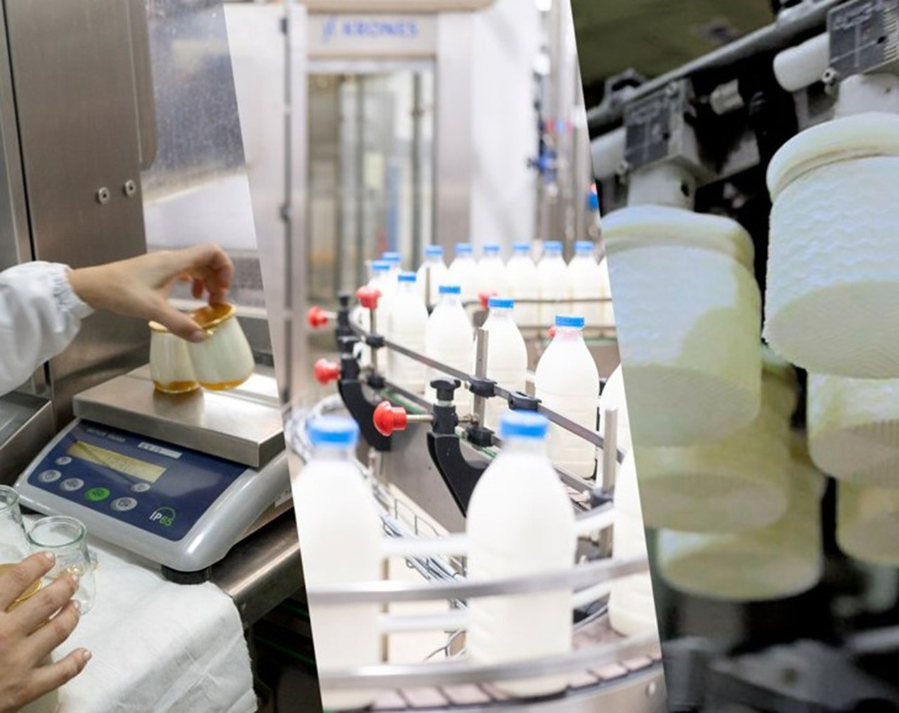 Grupo Lactalis celebra 40 anos en España apostando pola calidade, a innovación e o investimento