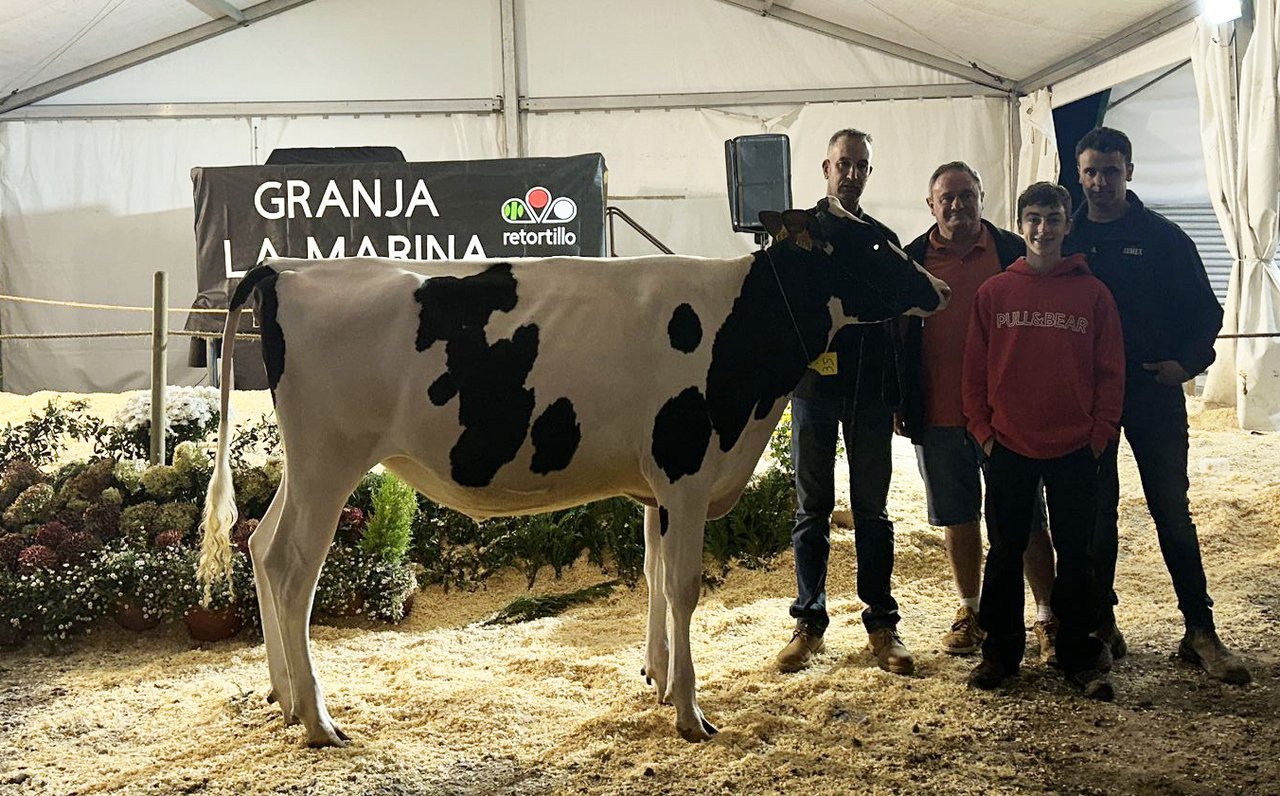 Marina Fitters Choice Amanda foi vendida por 4.350 euros.