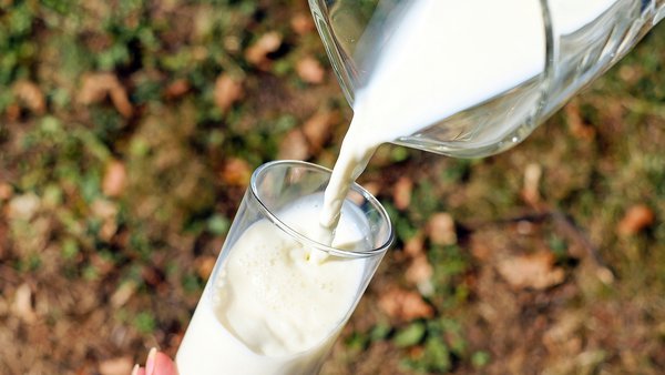 Europa rexeita as bebidas vexetais nos centros escolares como alternativas ao leite