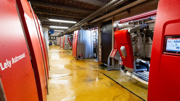 Galicia alcanza la cifra de 500 robots de ordeño Lely