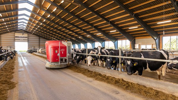 O robot de alimentación Lely Vector é o máis rendible por litro de leite producido