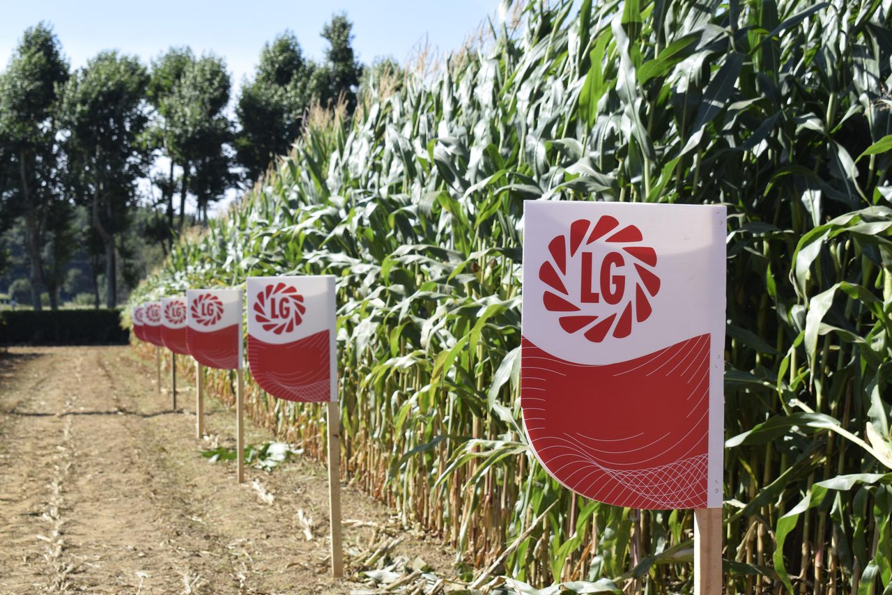 LG conmemora 60 años de su fundación en Francia