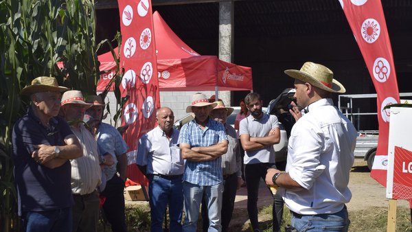 Sementes LG reforza a súa aposta por variedades altamente dixestibles e resistentes ao estrés hídrico