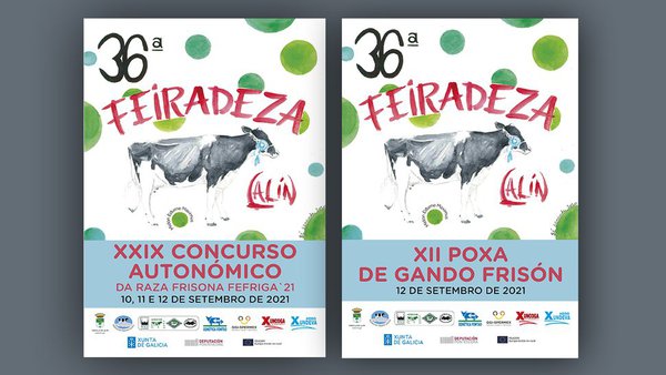 El libro del concurso regional de Galicia y Feiradeza, ¡ya on-line!