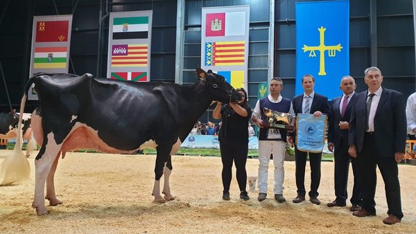 Emocionante vitoria para Llinde Ariel Jordan, vaca gran campiona nacional
