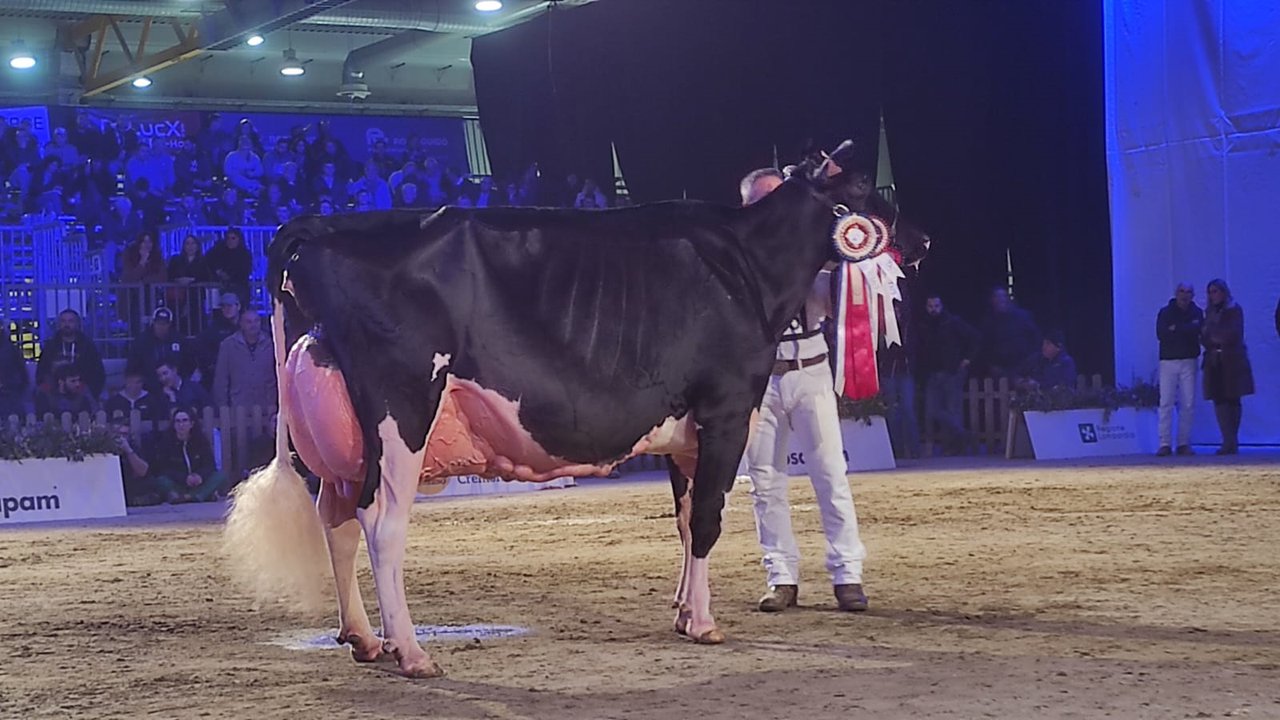 Llinde Ariel Jordan conquista el pódium de Cremona