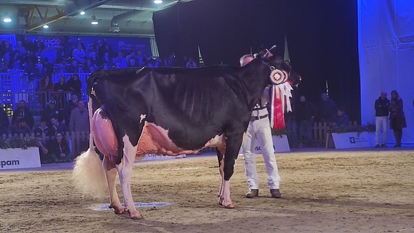 Llinde Ariel Jordan conquista el pódium de Cremona
