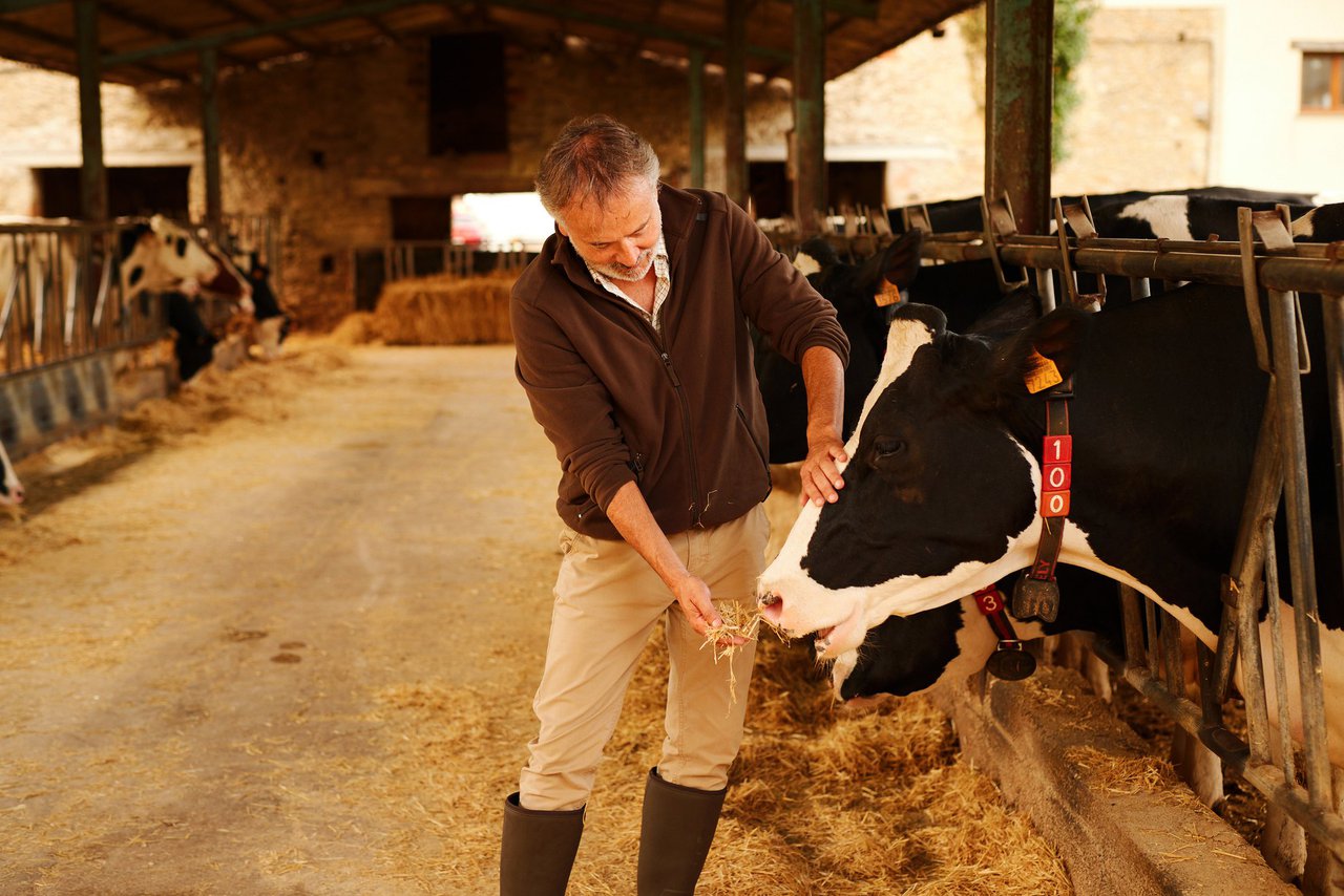 O modelo de produción europeo dá ás á internacionalización do lácteo