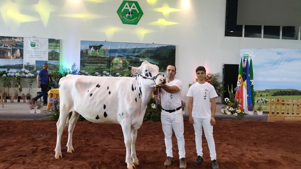 Los premios de mejor manejador joven y adulto han sido para Afonso Pavão y Manuel Pereira