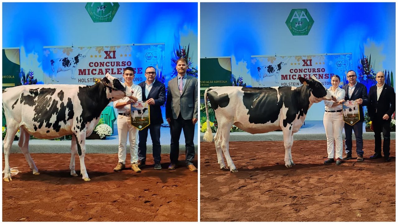 Manuel Raposo y Ema Couto destacan como mejores manejadores en el XI Concurso de Outono de Azores