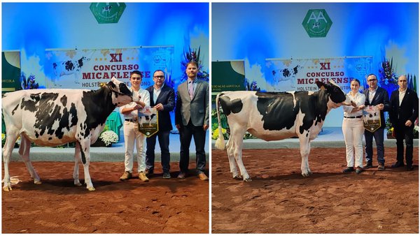 Manuel Raposo y Ema Couto destacan como mejores manejadores en el XI Concurso de Outono de Azores