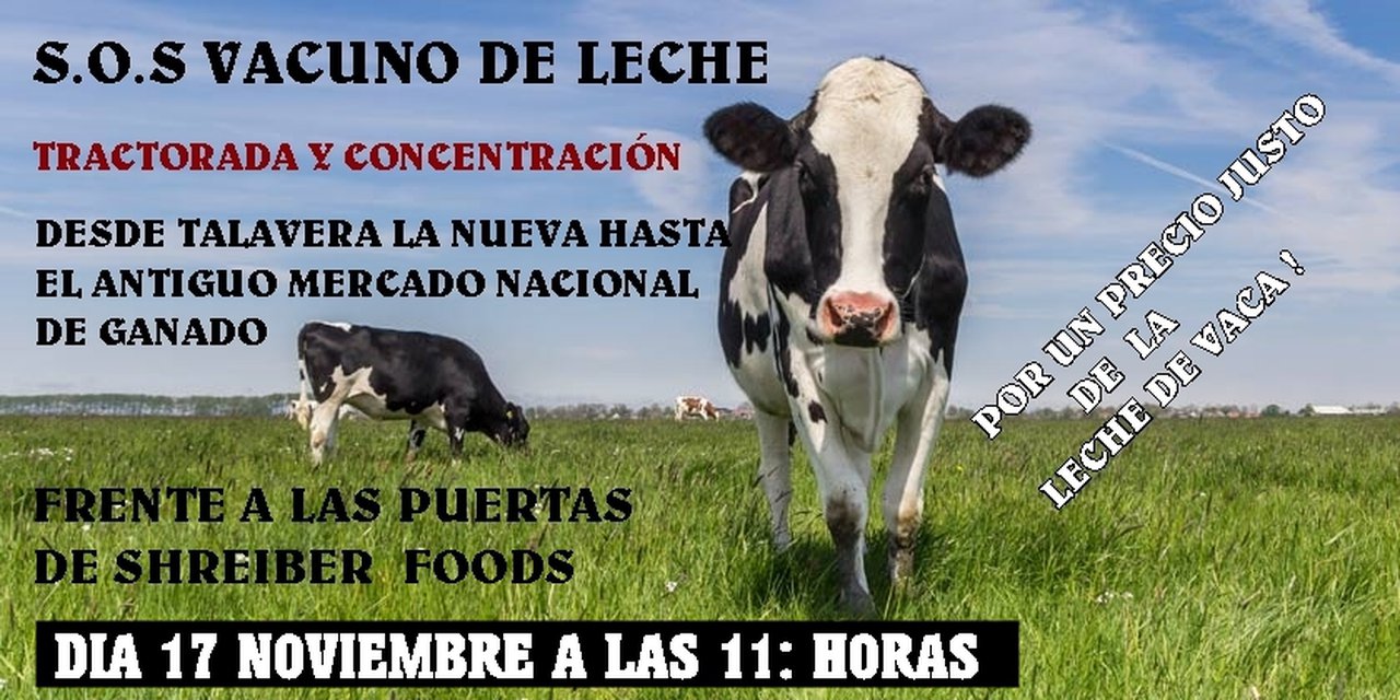 La plataforma Basta Ya de Abusos denuncia a Shreiber Food y a UPA y Asaja Toledo por condenar a la ruina al sector lácteo