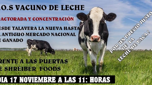 La plataforma Basta Ya de Abusos denuncia a Shreiber Food y a UPA y Asaja Toledo por condenar a la ruina al sector lácteo