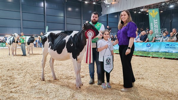 Manolero Happen Valeria se proclama ternera campeona del Regional de Asturias 2025
