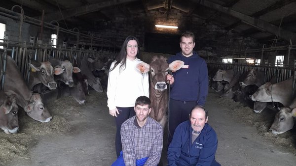 A gandería María Amor adquire unha xata por 6.000 euros en Cremona