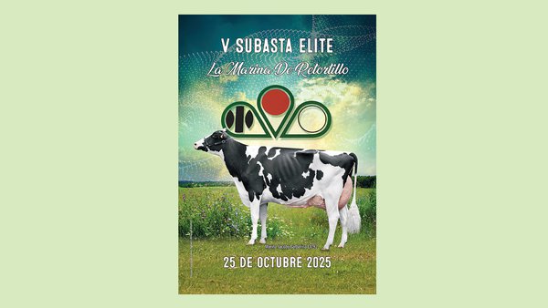 Consulta ya toda la información de los 35 animales que venderá este sábado La Marina de Retortillo