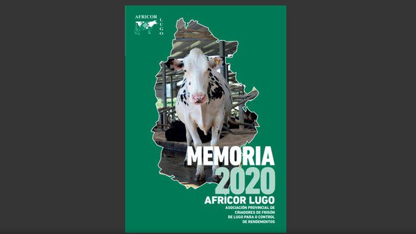 Consulta on line la Memoria de Africor Lugo 2020