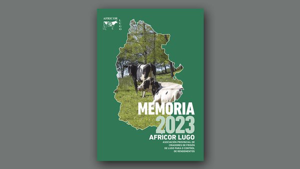 Xa podedes consultar on-line a Memoria de Africor Lugo 2023