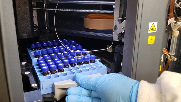 AMSvet, en colaboración con Exopol, desenvolve un método para a detección de micotoxinas en soro e plasma