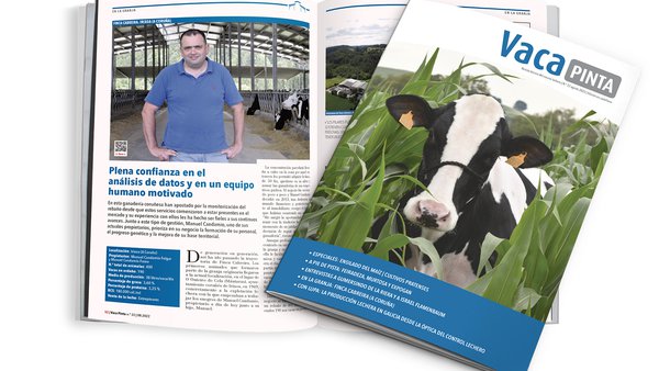 Despedimos o verán con Vaca Pinta 33