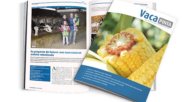 Publicado o especial sobre millo forraxeiro de Vaca Pinta