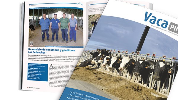 Recibimos el verano con la publicación de Vaca Pinta 53