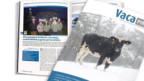 El nuevo año llega con el número 56 de Vaca Pinta