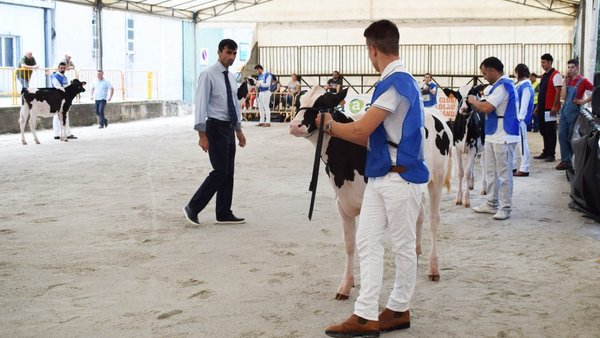 Henrique Moniz, juez del concurso frisón de la Moexmu 2020
