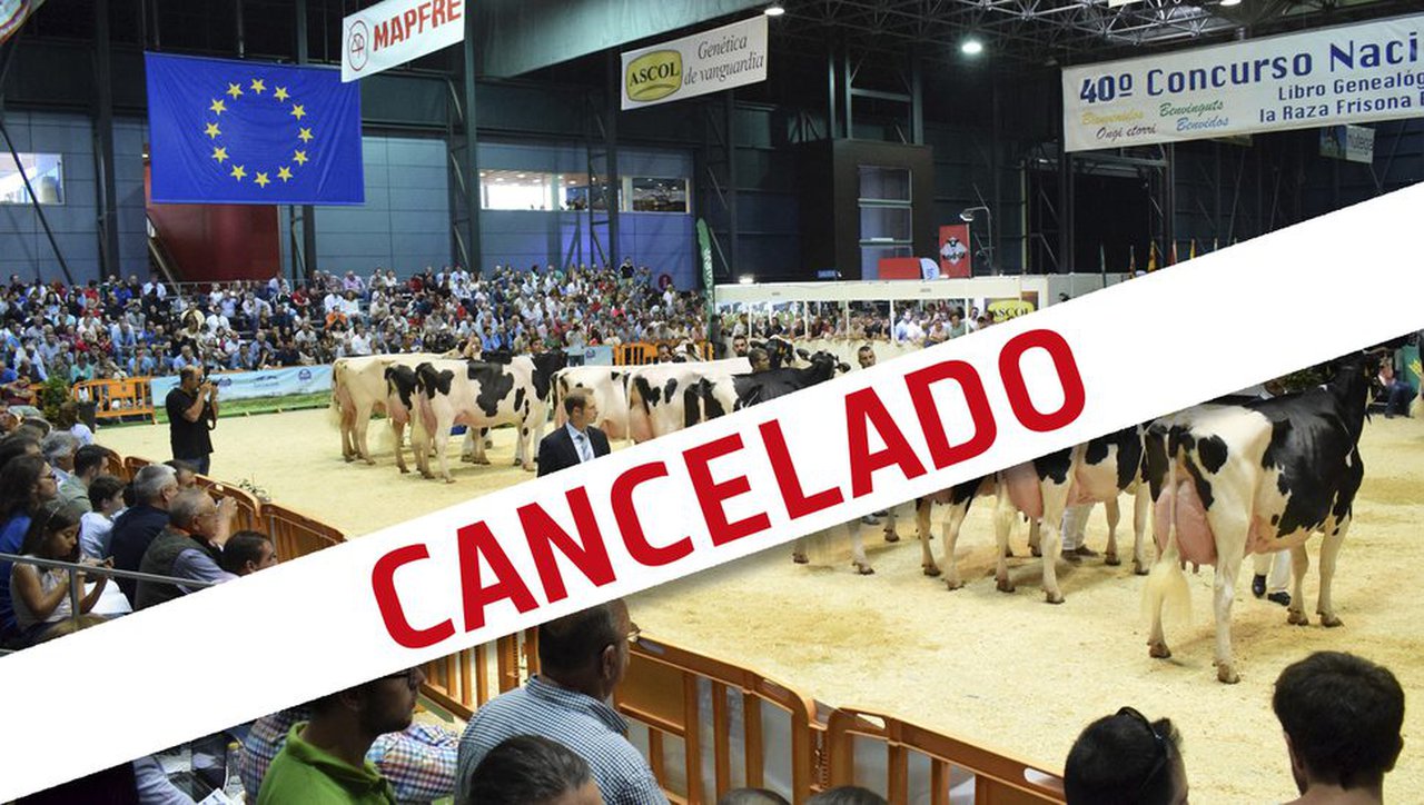 Suspendido o Concurso Nacional da Raza Frisona