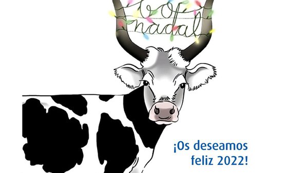 El equipo Transmedia os desea una feliz Navidad