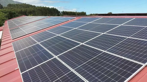 Nestlé reduce en máis de 43.600 toneladas as emisións de CO2 nas granxas provedoras de leite