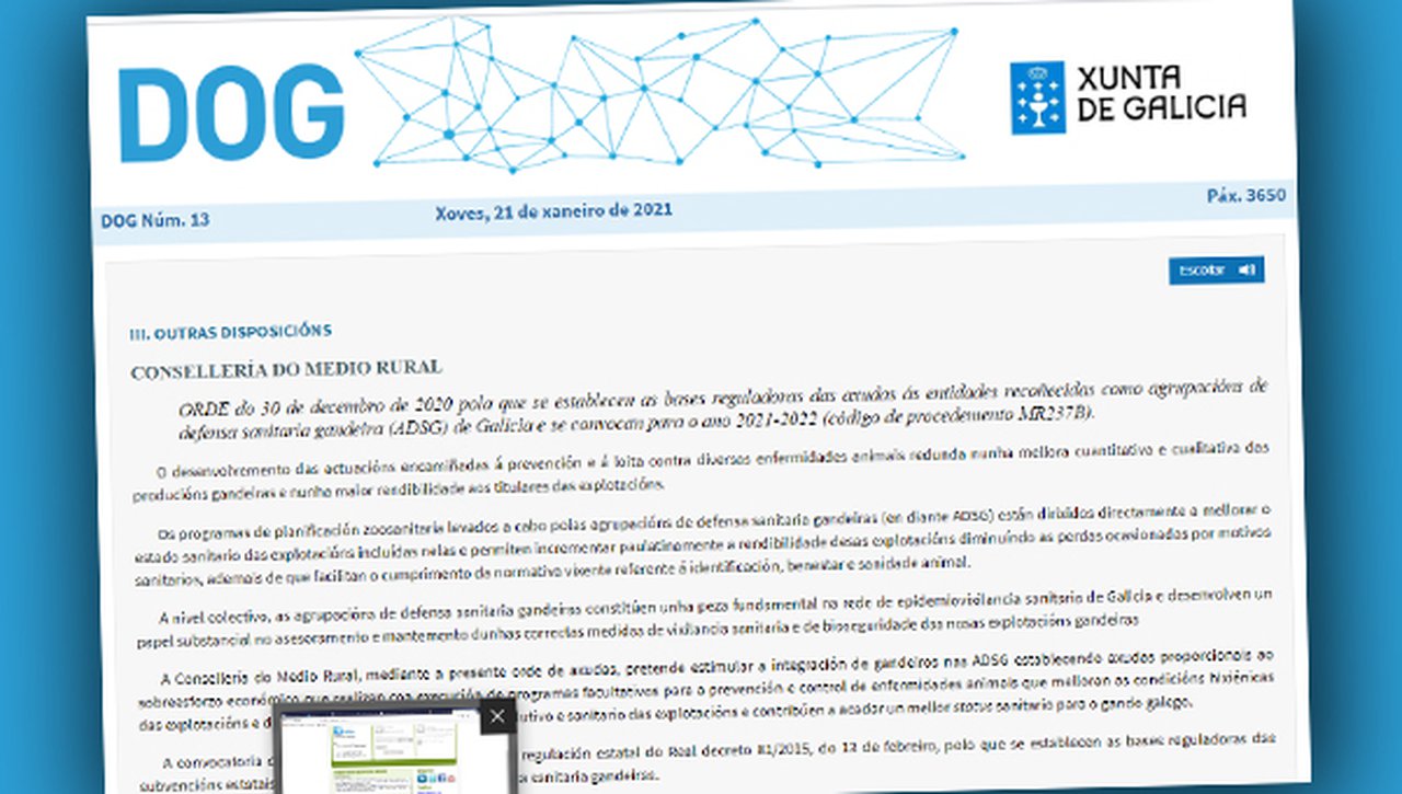 Convocadas las ayudas a las ADSG de Galicia para el período 2021-2022