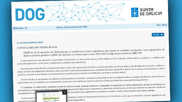 Convocadas las ayudas a las ADSG de Galicia para el período 2021-2022