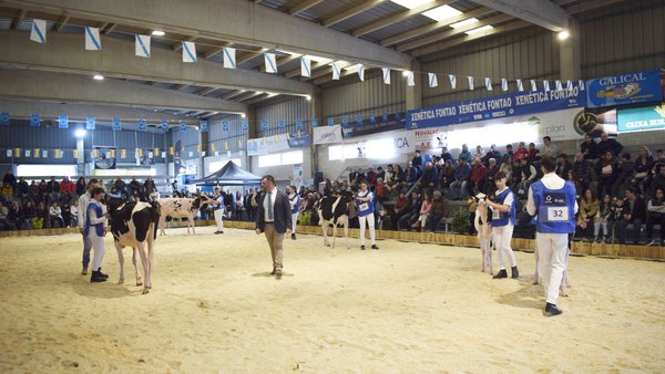 Os mellores manexadores e preparadores dos concursos de Santa Comba e Muimenta participarán na Young Breeders School 2024
