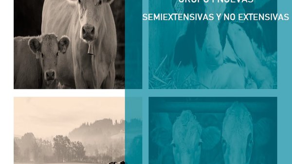 O Ministerio de Agricultura, Pesca e Alimentación publica unha guía informativa sobre a nova normativa das granxas de gando bovino