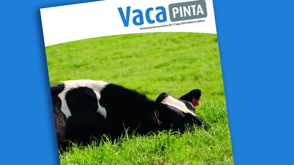 Novo número de Vaca Pinta, xa on-line en castelán