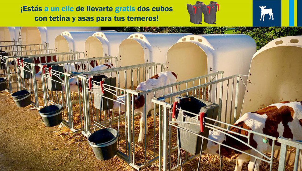 Sorteo de cinco lotes de dous cubos con tetina para xatos