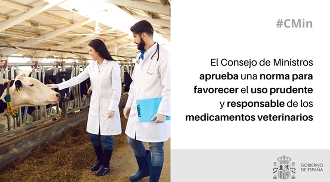 O Goberno aproba unha norma para favorecer o uso responsable e prudente dos medicamentos veterinarios